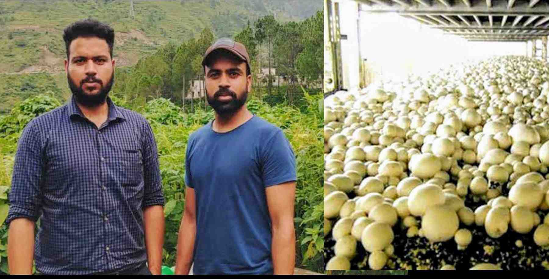 Uttarakhand self employment news: two brothers Sushant and Prakash Uniyal of tehri garhwal started a mushroom farming in plants. mushroom farming in uttarakhand