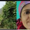 Himachal Pradesh News: A woman kamlesh who went to collect grass in Sirmour district died after falling into a ditch. Sirmour news Himachal Pradesh