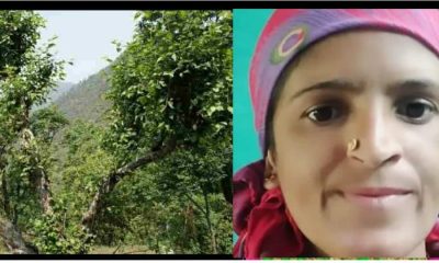 Himachal Pradesh News: A woman kamlesh who went to collect grass in Sirmour district died after falling into a ditch. Sirmour news Himachal Pradesh