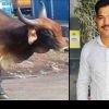 Uttarakhand news: Manoj Joshi of bindukhatta lalkuan died due to bull attack bike accident in Haldwani. Haldwani Bull Attack
