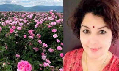 Uttarakhand news: babita Samant of Pithoragarh started Rose farming as self employment babita Samant rose farming devbhoomidarshan17.com