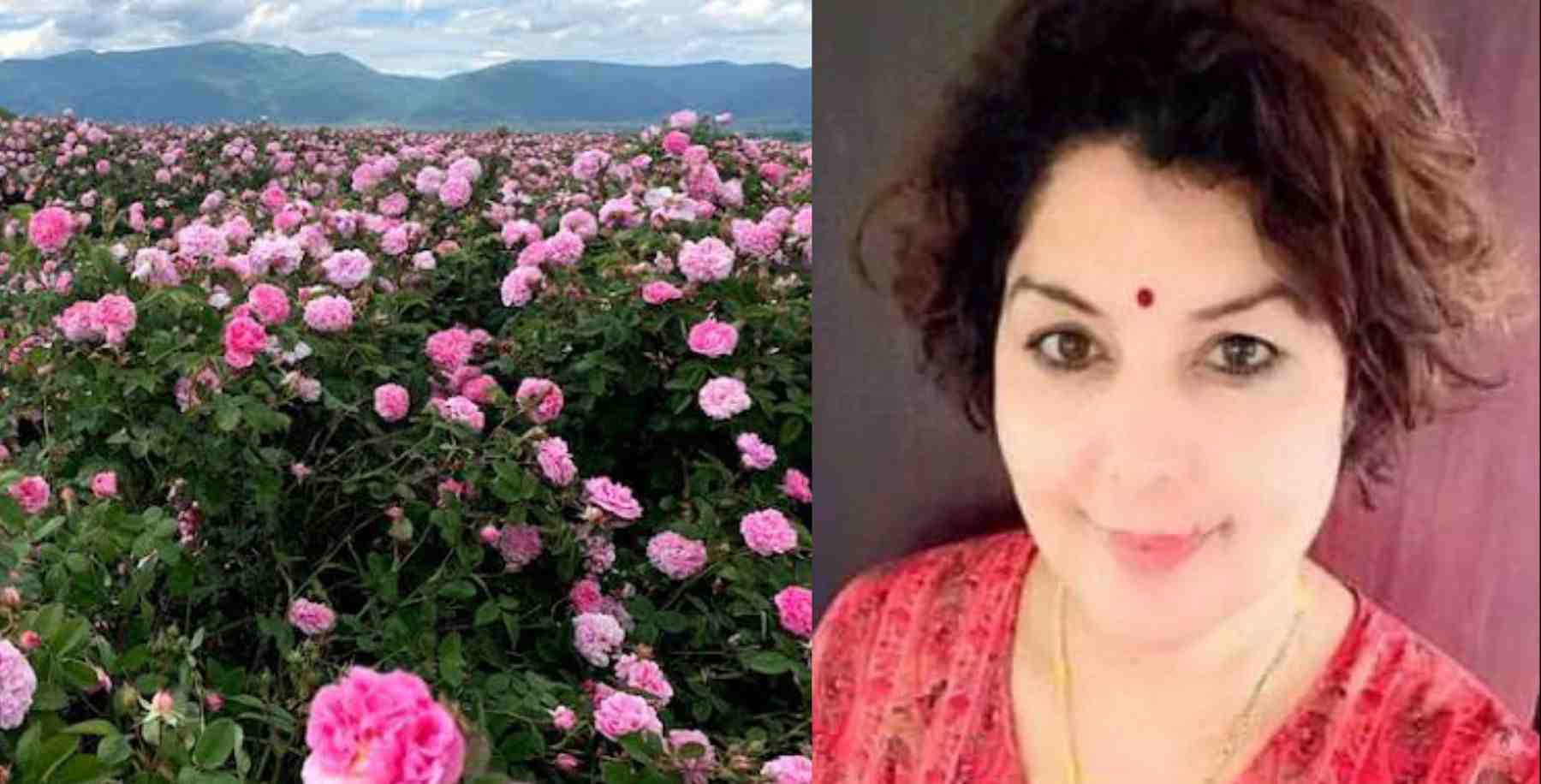 Uttarakhand news: babita Samant of Pithoragarh started Rose farming as self employment babita Samant rose farming devbhoomidarshan17.com