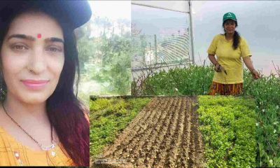 Uttarakhand news: Lata Kandpal of almora became an example by populating barren fields framing. Lata Kandpal farming almora