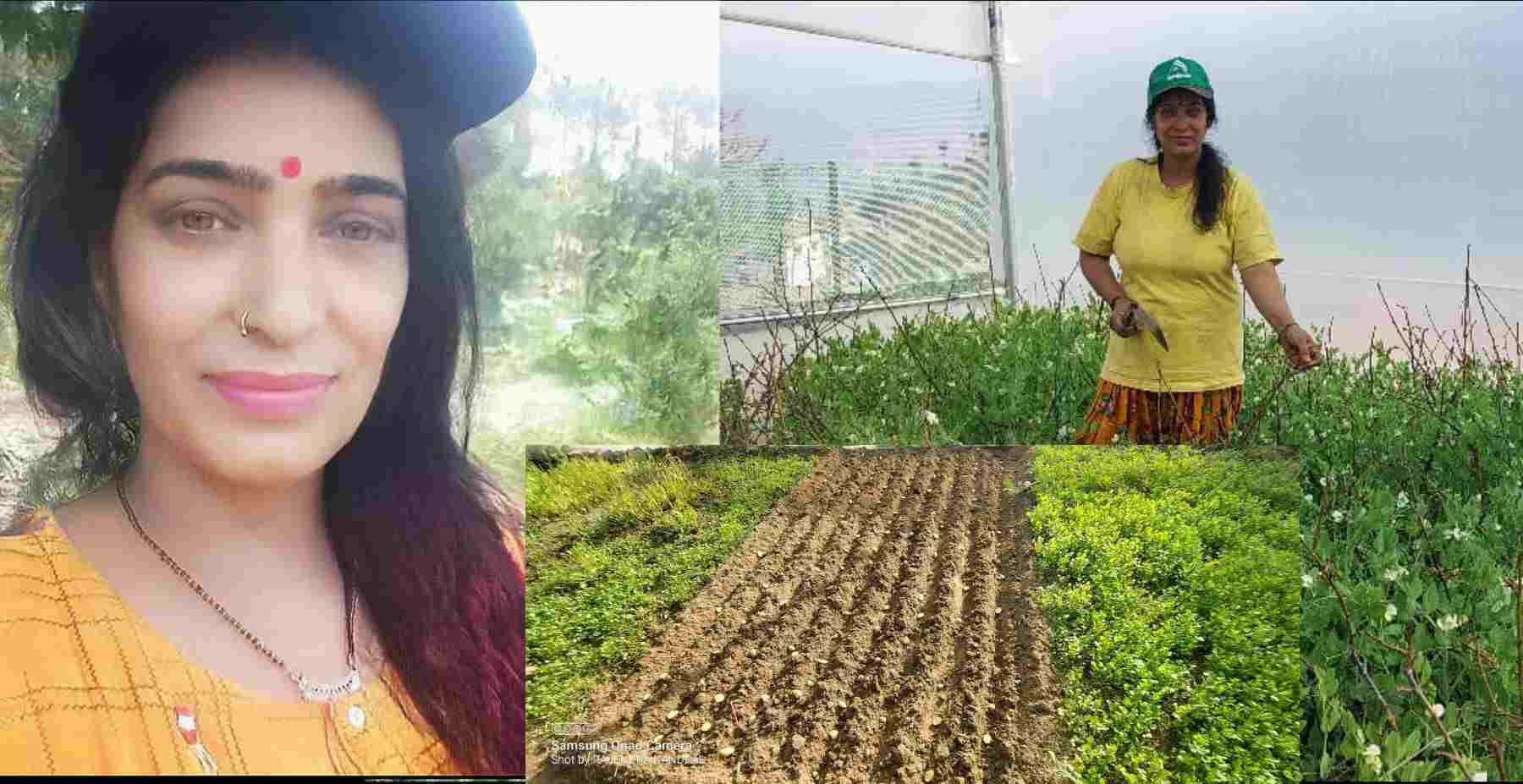 Uttarakhand news: Lata Kandpal of almora became an example by populating barren fields framing. Lata Kandpal farming almora