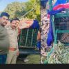 Uttarakhand news: Guldar imprisoned in a cage, had killed an innocent child in dehradun. Dehradun Guldar News