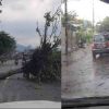 Uttarakhand news: weather Storm havoc in yesterday, three including advocate died due to falling tree in different places. Uttarakhand weather news