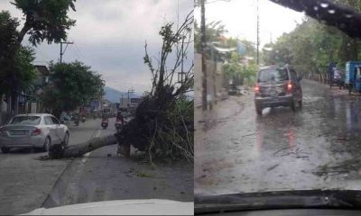 Uttarakhand news: weather Storm havoc in yesterday, three including advocate died due to falling tree in different places. Uttarakhand weather news
