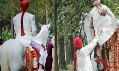 Uttarakhand news: strange case the groom went missing on the day of the marriage in kotdwar pauri garhwal. Pauri Garhwal marriage