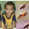 Uttarakhand news: Innocent nephew Kartik going to marriage died due to bee sting in tanakpur Champawat. Tanakpur Champawat news.