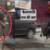 Uttarakhand news: VIDEO of young Nagesh of rishikesh riding a bull went VIRAL, had to lose his job.