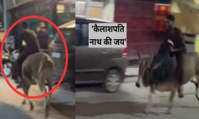 Uttarakhand news: VIDEO of young Nagesh of rishikesh riding a bull went VIRAL, had to lose his job.