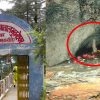 Uttarakhand: Patal bhuvaneshwar cave of gangolihat Pithoragarh history in hindi. Patal bhuvaneshwar cave history