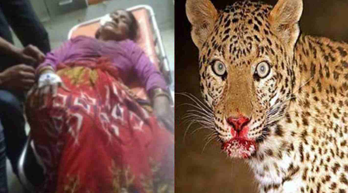 Uttarakhand: Guldar attack two girls in tehri Garhwal grandmother save their life