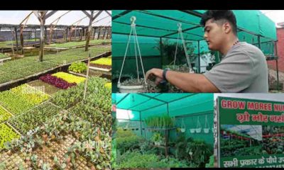 Uttarakhand news: Gaurav Bisht studied from Delhi and self employment by opening a nursery in Haldwani. Gaurav bisht self employment