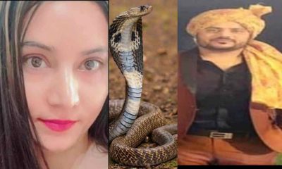 Uttarakhand news: Big disclosure of Haldwani Ankit Chauhan murder case, girlfriend had bitten with a snake. Ankit murder case haldwani