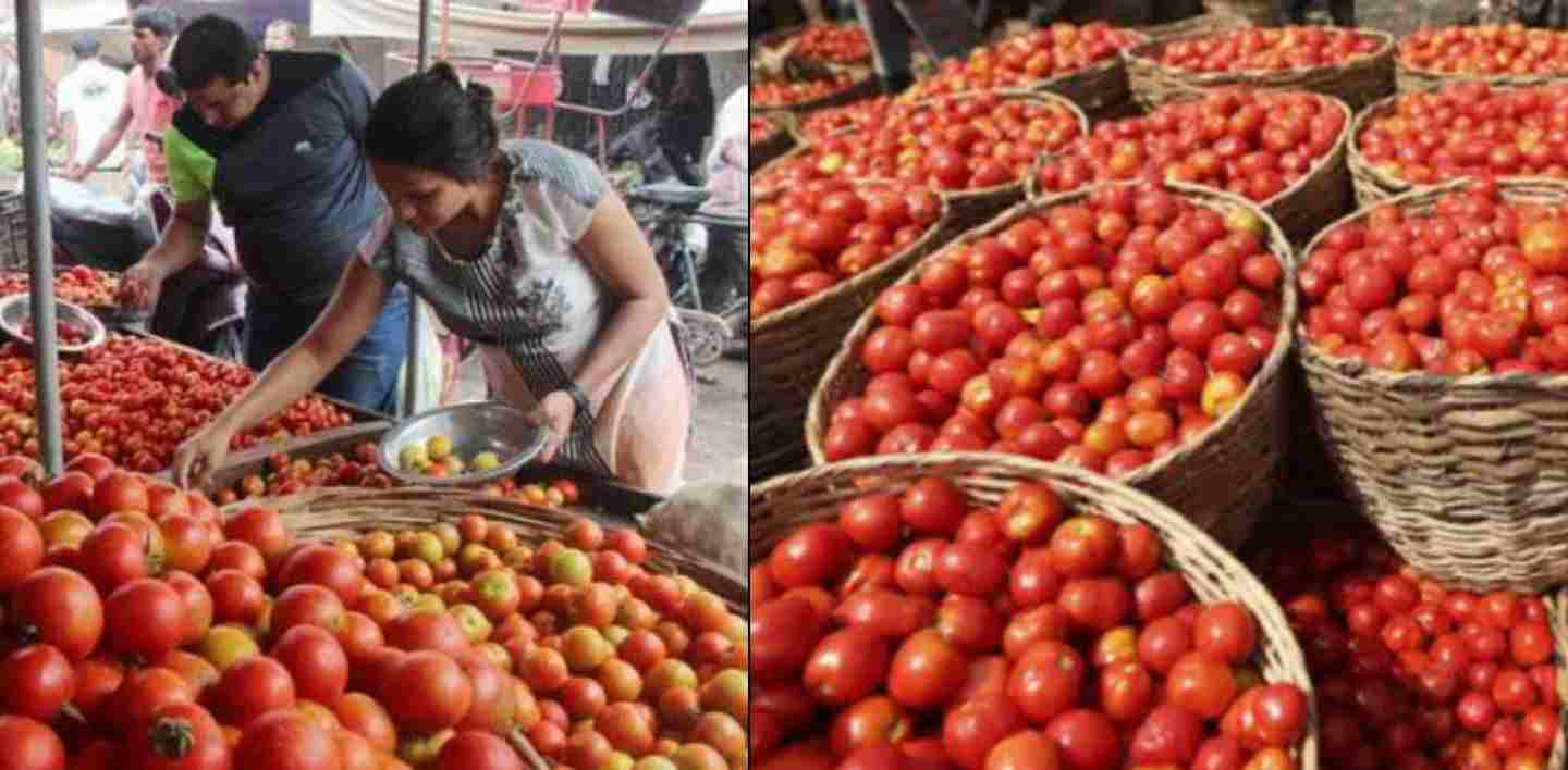 Nainital tomato price