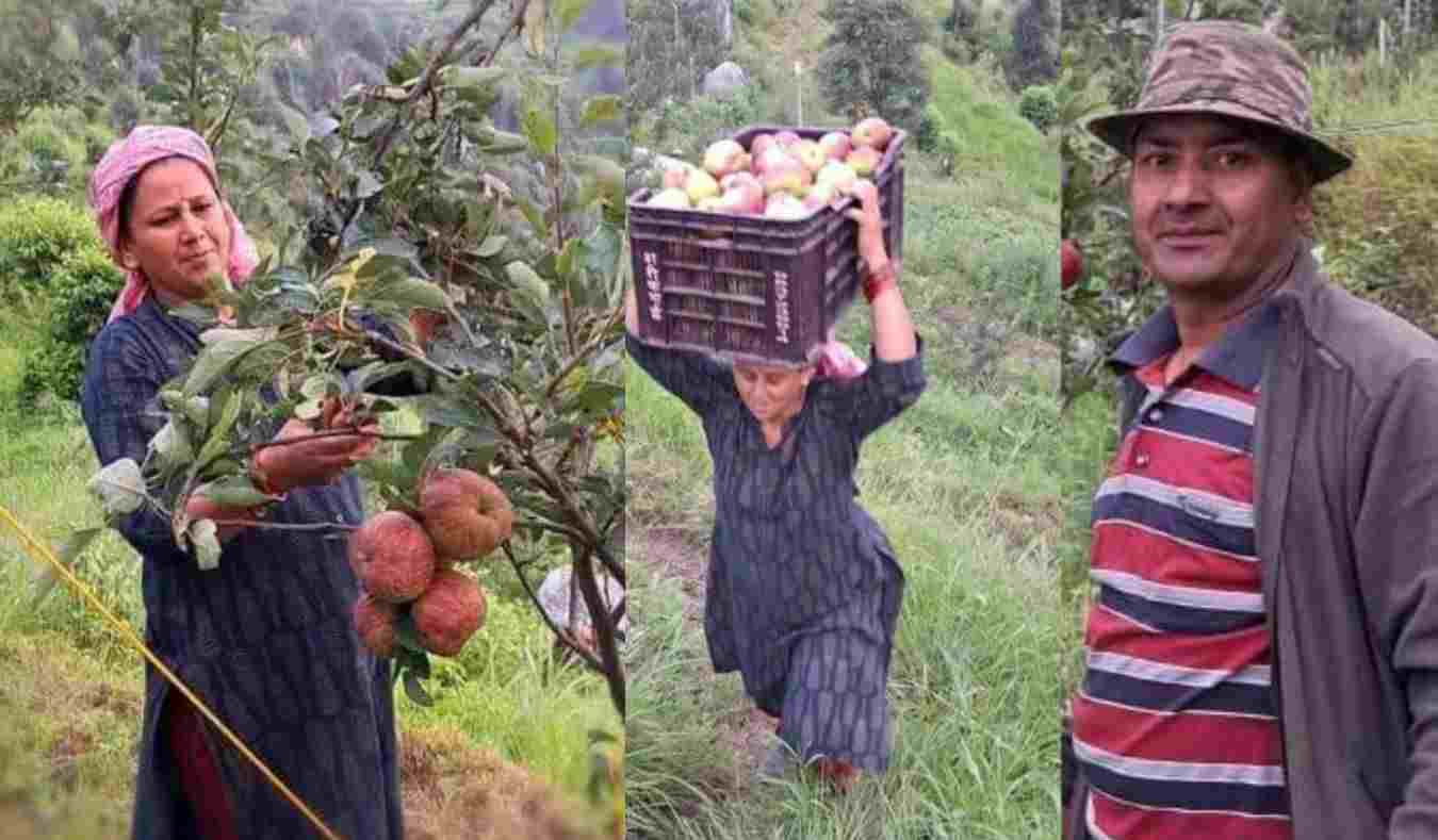 Uttarakhand: Husband wife dhani kanti chand and vijaypal chand started apple and kiwi farming in pauri Garhwal self employment