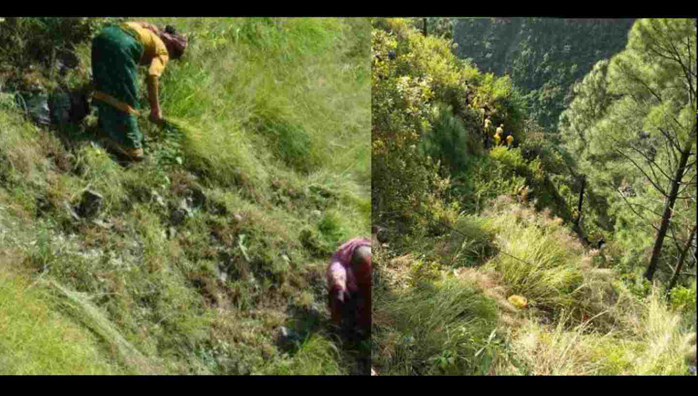Uttarakhand news: Sheela Devi of uttarkashi who went to collect grass fell straight into the ditch today. Uttarkashi News Today