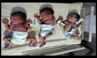 Uttarakhand news: Woman suman delivery gave birth to three baby in uttarkashi, even doctors were surprised. Uttarkashi three baby delivery