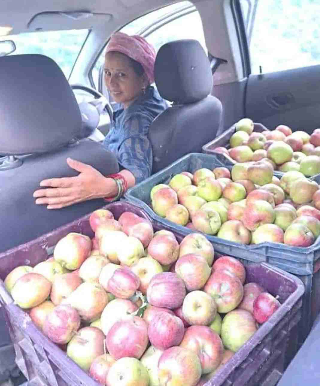 Pauri Garhwal apple farming 
