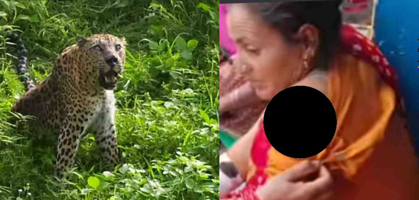 Uttarakhand news: guldar attack a Woman in tehri garhwal she saved her life