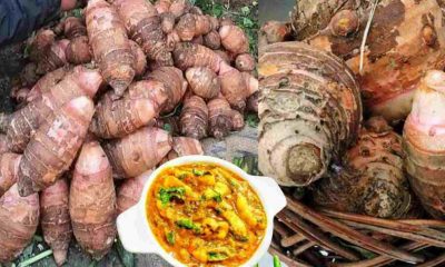 Uttarakhand food: Pahari Gaderi (Pinalu) arbi ki sabji vegetable recipe. it's a benifits for serious diseases. Gaderi Ki Sabji recipe