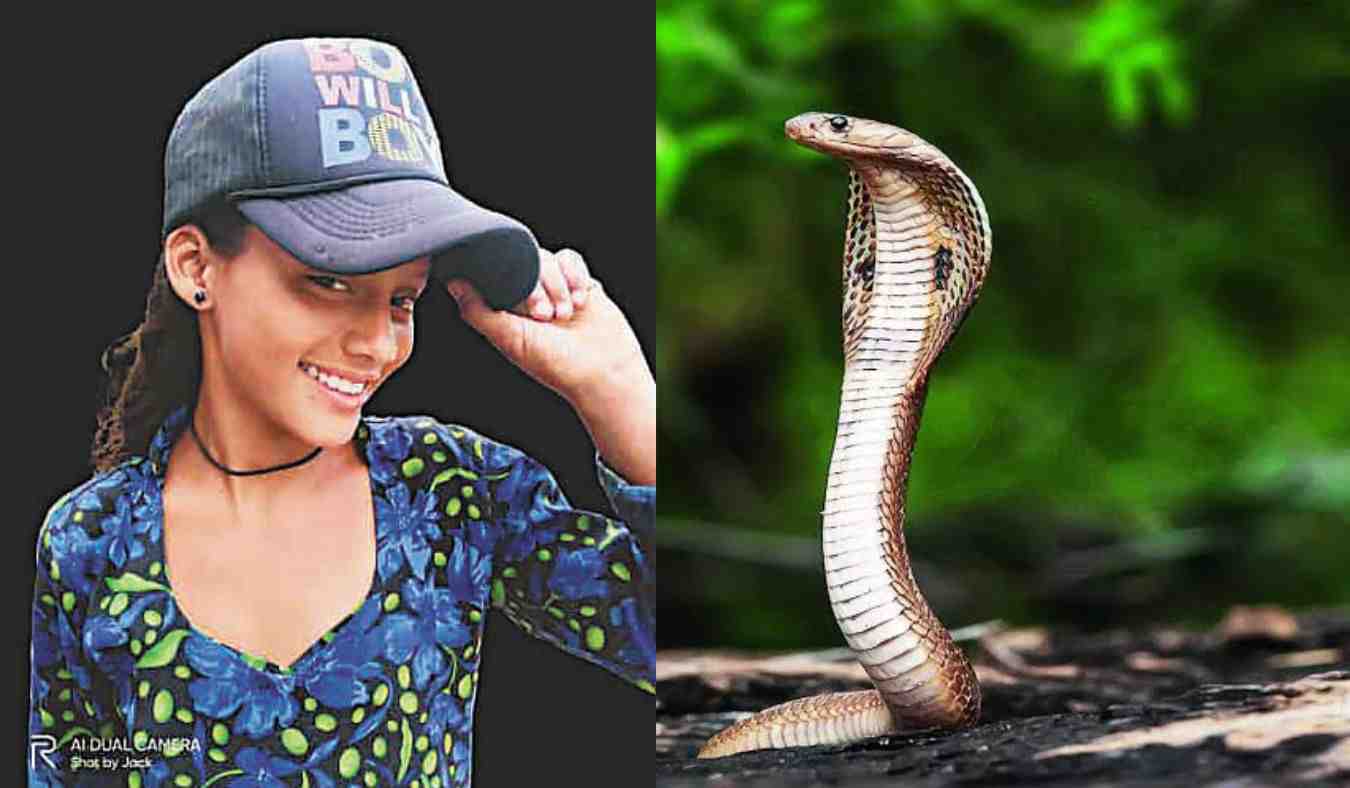 Bageshwar Snake bite case