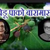 Uttarakhand: bedu pako baramsa song lyrics writer composer mohan upreti and Brijendra Lal Sah