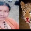 Uttarakhand news : Dreaded Guldar attack in woman Bigari Devi of nainidanda pauri garhwal. Guldar Attack in Pauri Garhwal