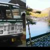 Nainital to haldwani Uttarakhand roadways bus