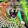 Uttarakhand tiger attack dehradun