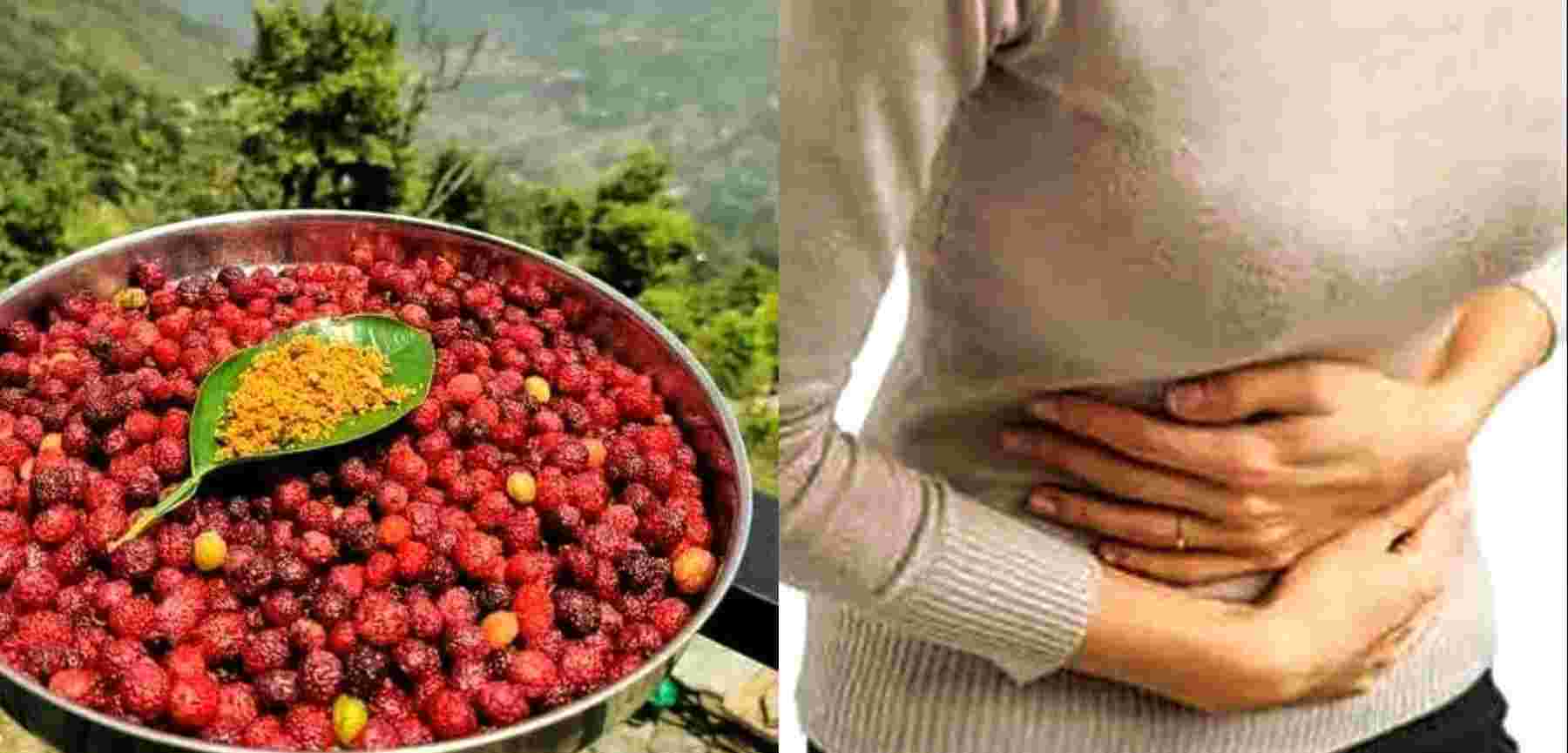 Kafal Fruit Benifits Hindi uttarakhand