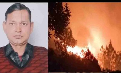 Mahendra Singh Dangi almora forest fire news