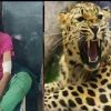 Kamla devi of Berinag Pithoragarh leopard attack