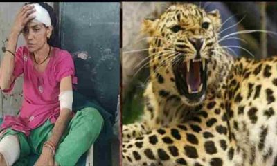 Kamla devi of Berinag Pithoragarh leopard attack