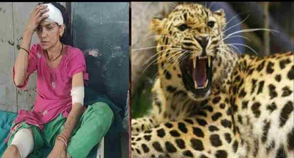 Kamla devi of Berinag Pithoragarh leopard attack