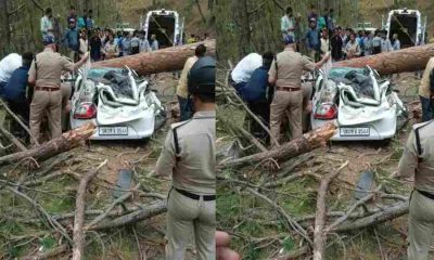 Uttarkashi road accident news
