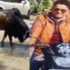 Kundan Singh Bisht of haldwani bull attack news today