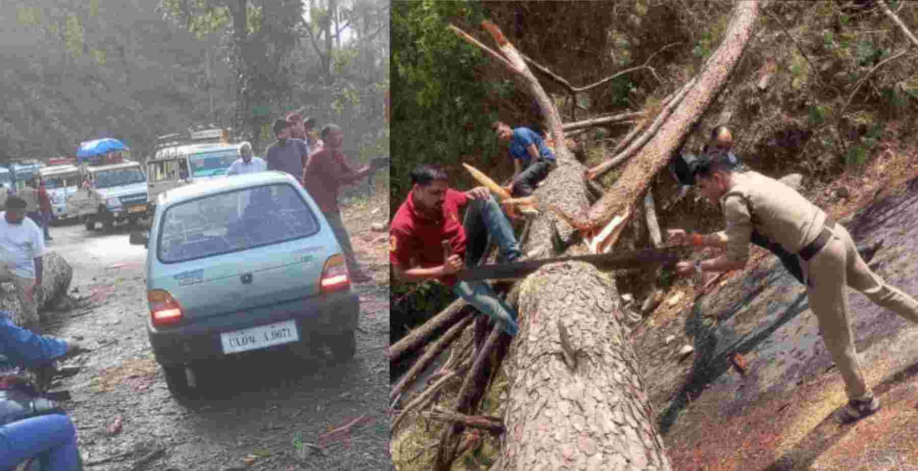 Uttarakhand news: Nainital Weather News Today at haldwani road Pune tree fall traffic distrub