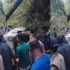 Nainital Okhalkanda max accident