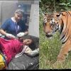 Uttarakhand news: tiger attack in ramnagar Nainital Tara save her sister life