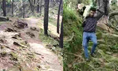 Nainital Bhela village Road