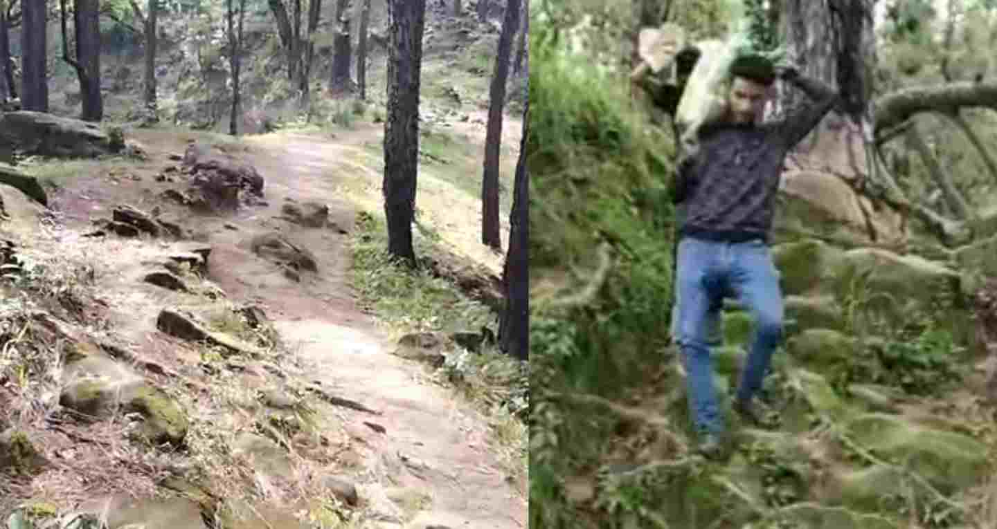 Nainital Bhela village Road