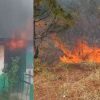 Nainital Forest fire uttarakhand