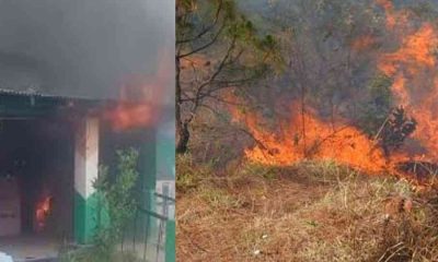Nainital Forest fire uttarakhand
