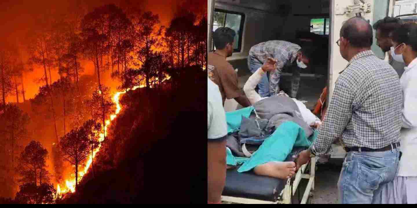 Uttarakhand News: 4 people of forest department died due to fire in the forest of Binsar Mahadev Almora|forest fire|binsar|