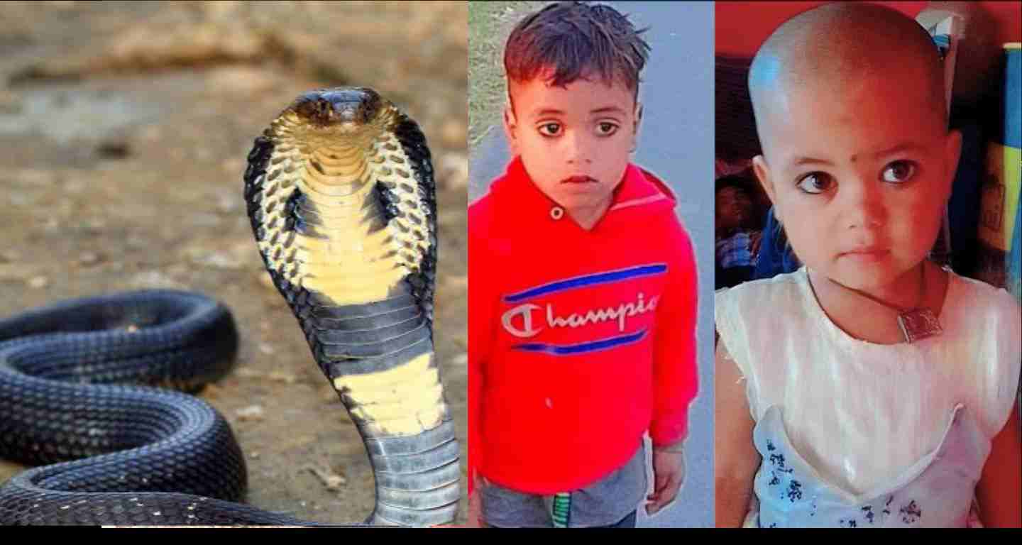 Uttarakhand news:In Ramnagar nainital Brother and sister snake bite both were lost their lives