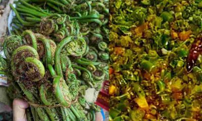 Uttarakhand: Health benefits of lingad vegetable Hindi| lingada vegetable| lingud| recipe| famous vegetable