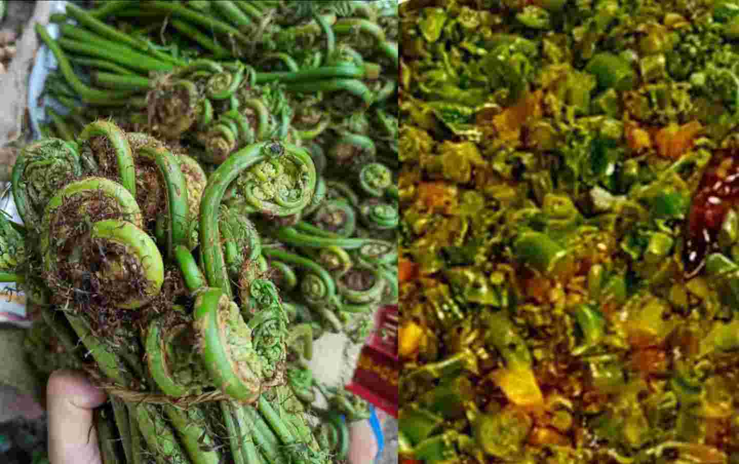 Uttarakhand: Health benefits of lingad vegetable Hindi| lingada vegetable| lingud| recipe| famous vegetable