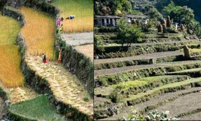 Uttarakhand land plot property sale